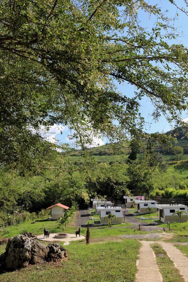 Hotel Cielo Abierto Glamping à Valle de San José Extérieur photo