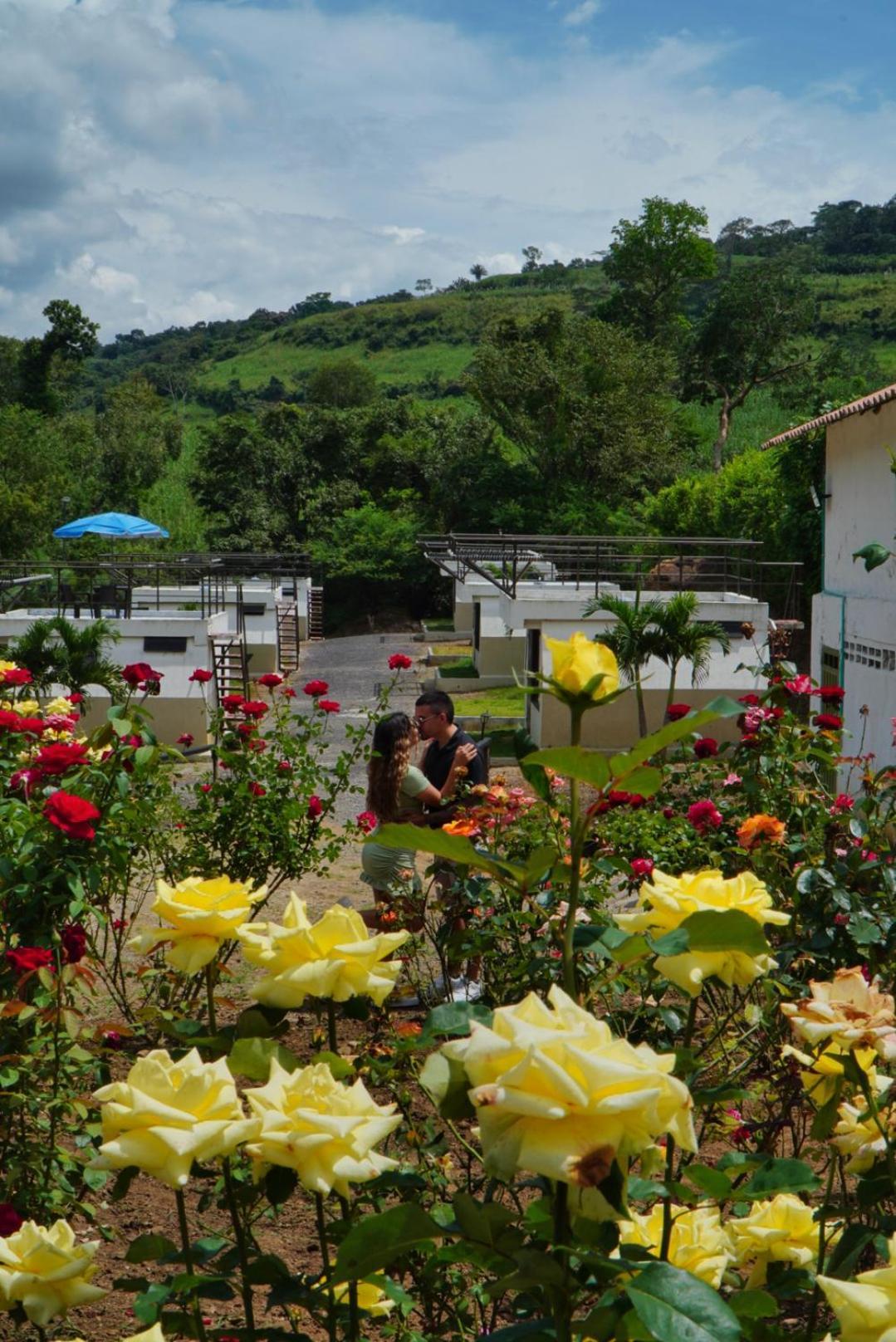 Hotel Cielo Abierto Glamping à Valle de San José Extérieur photo